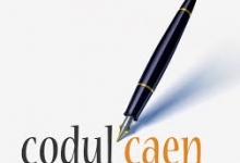 Cod CAEN 8560
