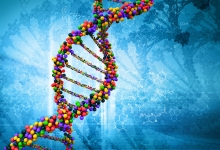 Profesori Meditatie Profesor Meditatie Biologie, Admitere Medicina Bucuresti Sector 2 - Ramona Badaran