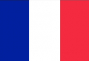 Profesori Meditatie Limba franceza