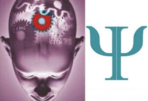 Profesori Meditatie Psihologie