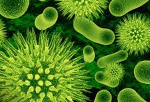 Profesori Meditatie Biologie