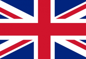 Profesori Meditatie Limba engleza