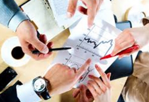 Profesori Meditatie Economie